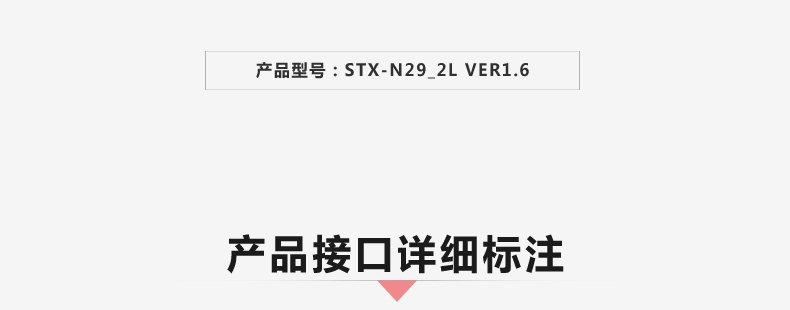 N29-2L-VER1_02.jpg