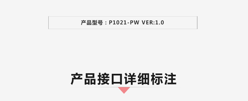 P1021-PW-VER1_02.jpg