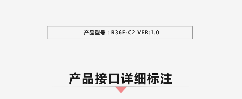 R36F-C2-VER1_02.jpg