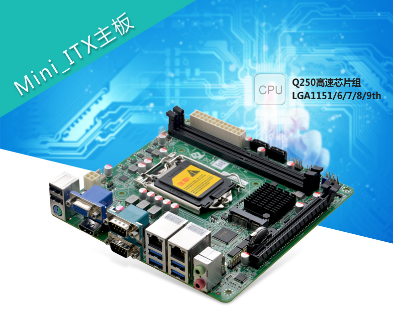 Q25M1-VER1_01.jpg