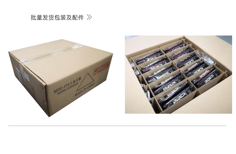 B100_I526L-VER1_10.jpg