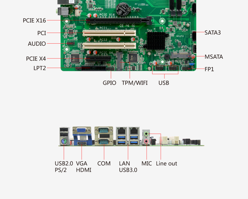 Q85M3_03.jpg