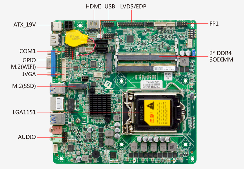 Y310C-VER1_03.jpg