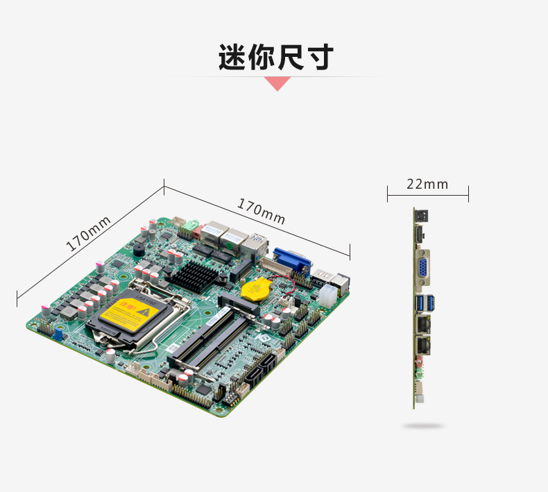B310C_2L-VER1_05.jpg