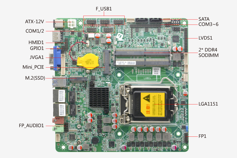 B310C_2L-VER1_03.jpg