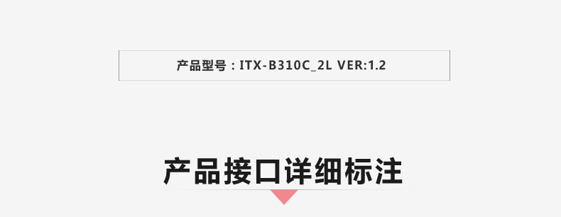 B310C_2L-VER1_02.jpg
