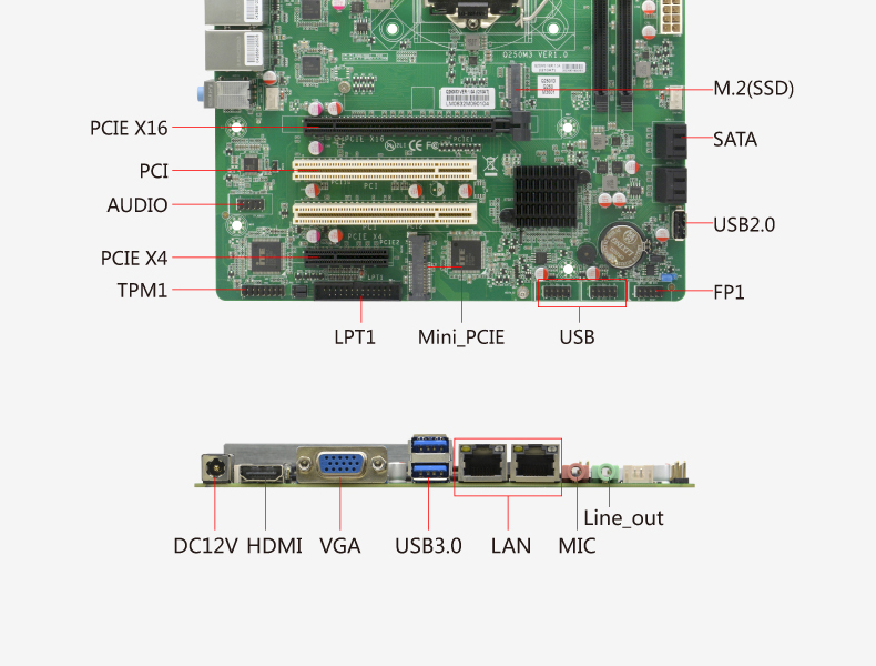 Q250M3_03.jpg