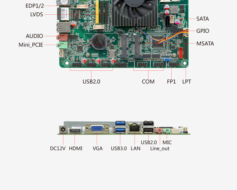 B321_I512L_03.jpg
