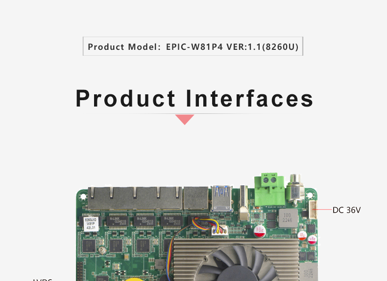 EPIC-W81P4_02.jpg