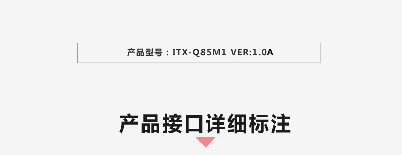 Q85M1-VER1_02.jpg