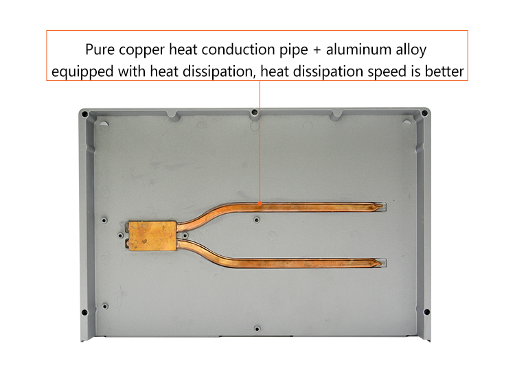P2181Y-C6_13.jpg