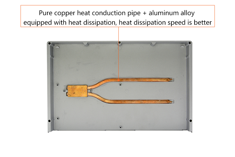 P1771Y-C6_14.jpg