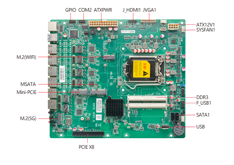 R67E_03.jpg