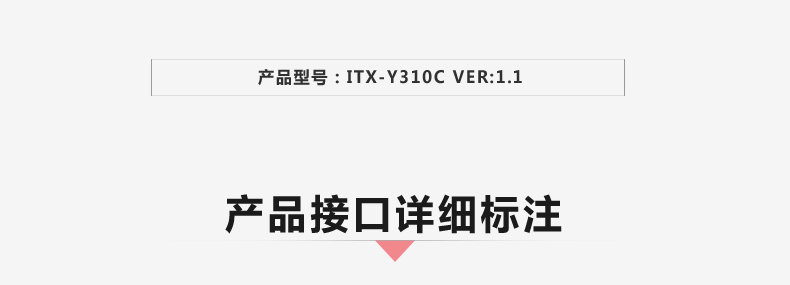 Y310C-VER1_02.jpg
