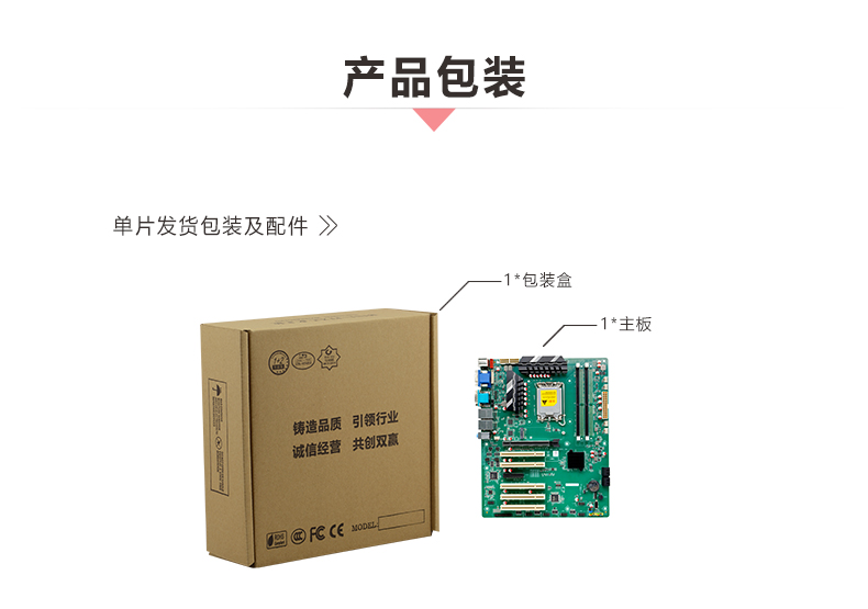 W610DM_09.jpg