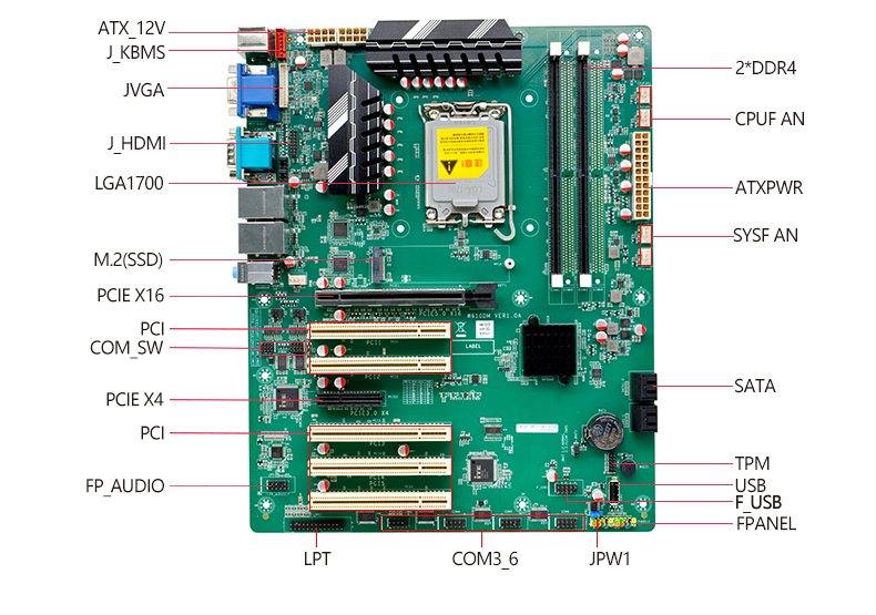 W610DM_03.jpg