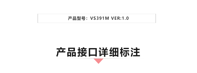 VS391M_02.jpg