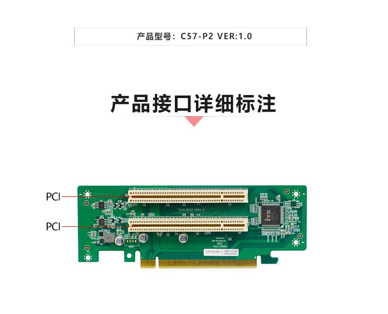 C57-P2_02.jpg