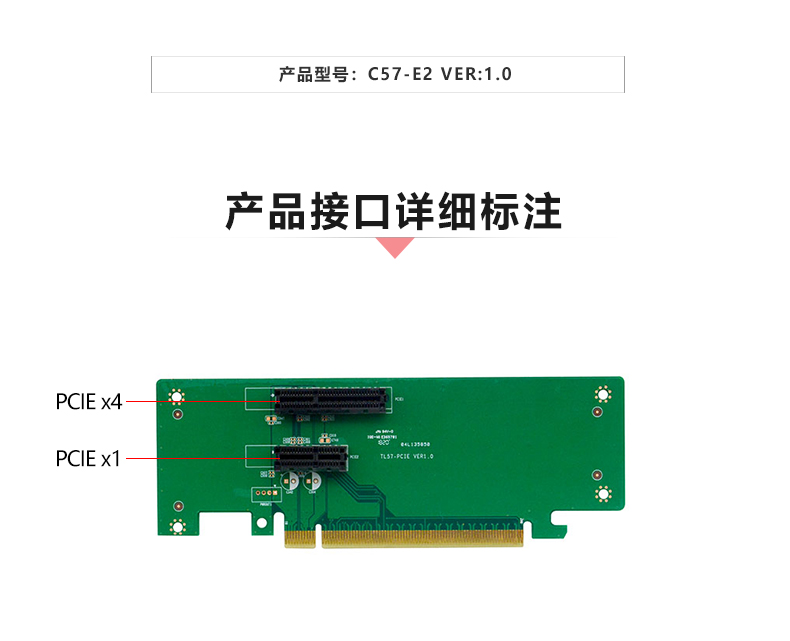 C57-E2_02.jpg