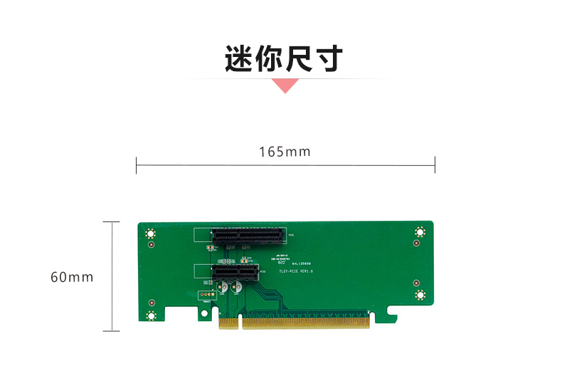 C57-E2_03.jpg