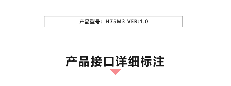H75M3_02.jpg