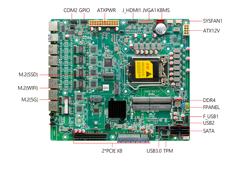 R591E_03.jpg