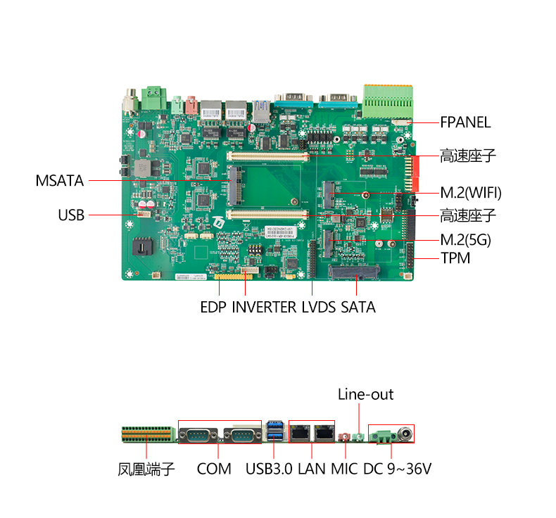 P1082-C6_03.jpg