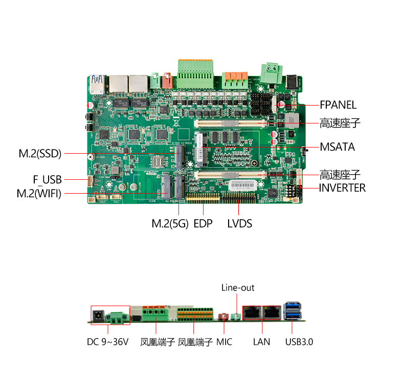 P1042-F6_03.jpg