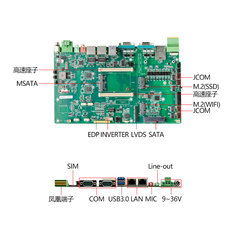 P1083-C6_03.jpg