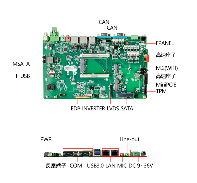 P1082-D2_03.jpg
