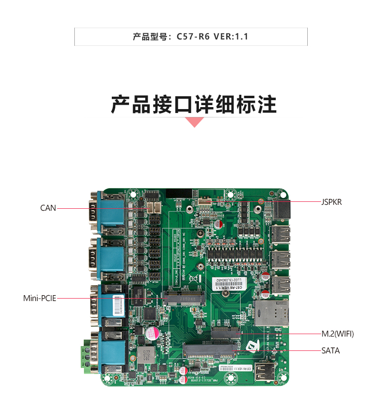 C57-R6_02.jpg